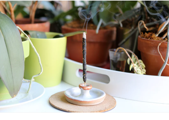 INCA Palo Santo Incense Bundle (6 Sticks)