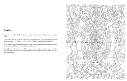 The Kabbalah Coloring Book (EN, SC)