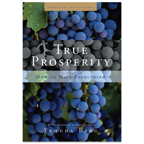 True Prosperity (English, e-book)